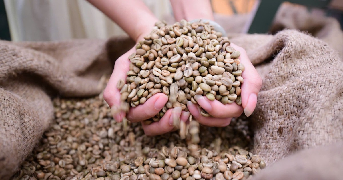 Robusta tuần qua: Đâu là ngưỡng giá của vụ mới?
