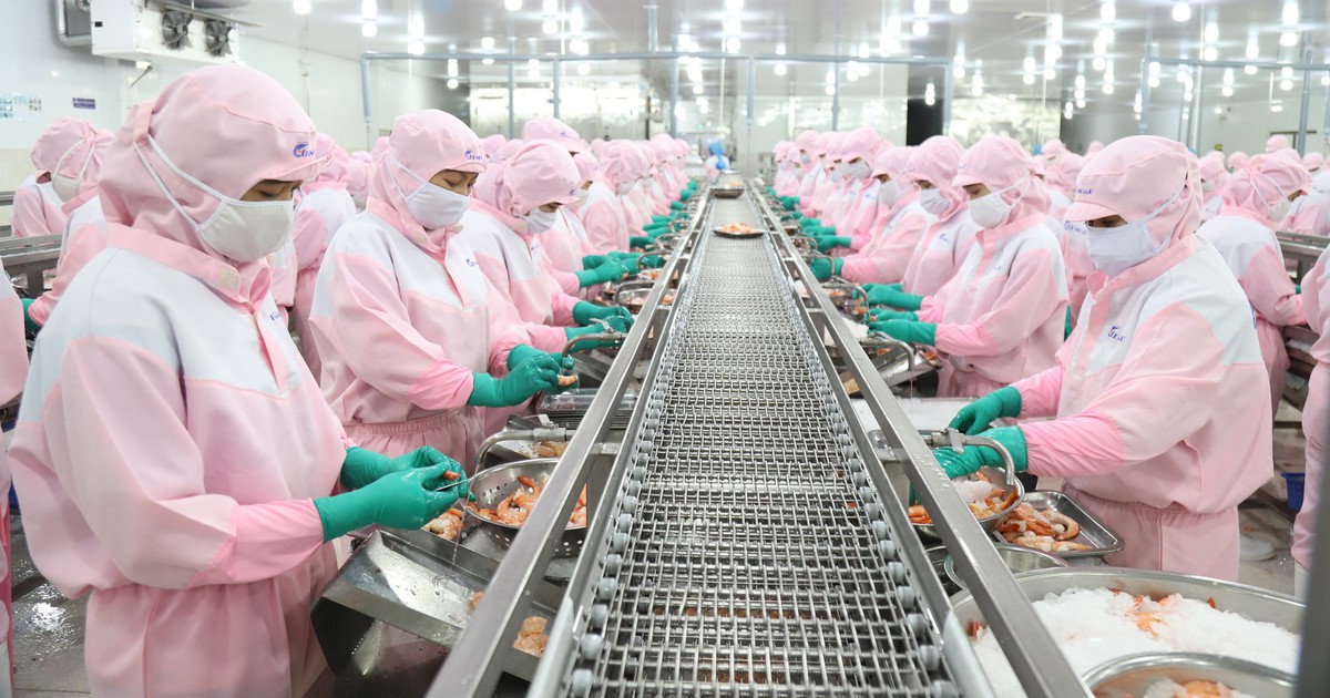 Chuyện lạ: Doanh nghiệp miền Tây đề xuất nhập khẩu lao động, nên không?