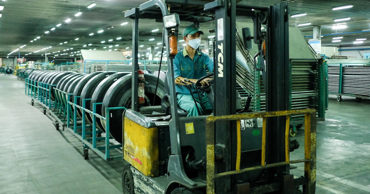 Lý do khiến Tổng giám đốc Công ty Cao su Đà Nẵng bị khởi tố