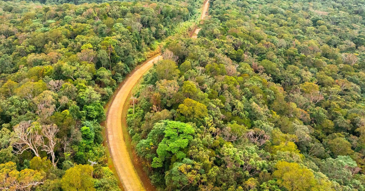 Vietnam: Quang Ngai province initiates forest carbon credit program