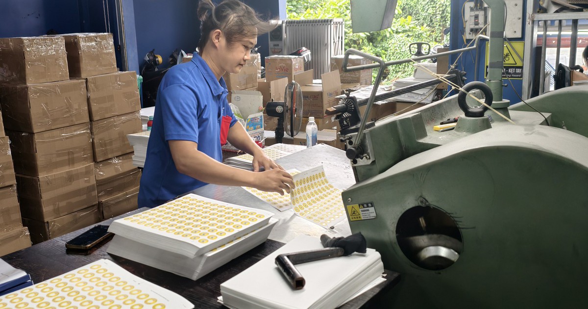Đề xuất khung năng lực nhân lực ngành in, không bắt buộc bằng cấp hay chứng chỉ