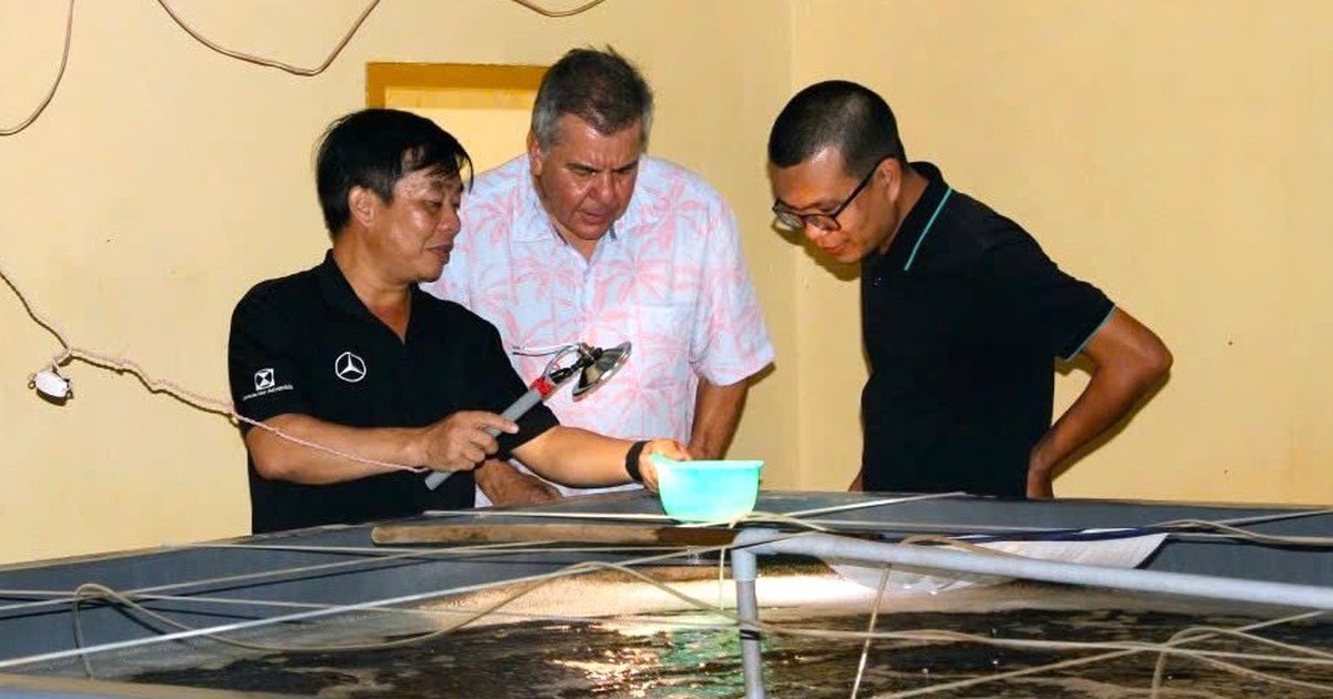 Tự chủ nguồn giống vẫn là bài toán lớn của ngành tôm Việt Nam