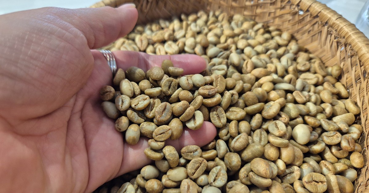 Robusta trong tuần: Giá nội địa quanh 92.500 đồng/kg, nông dân giữ cà phê như tài sản
