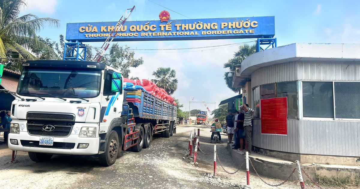 Thu nhập bình quân của người dân biên giới Đồng Tháp đạt từ 65 triệu đồng/năm