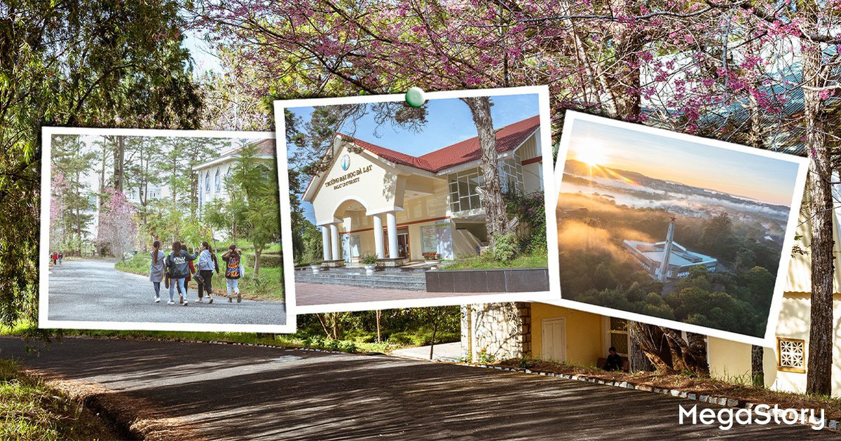 Trường đại học Đà Lạt 50 năm: biết ơn ngày trước, trọng trách cho ngày sau