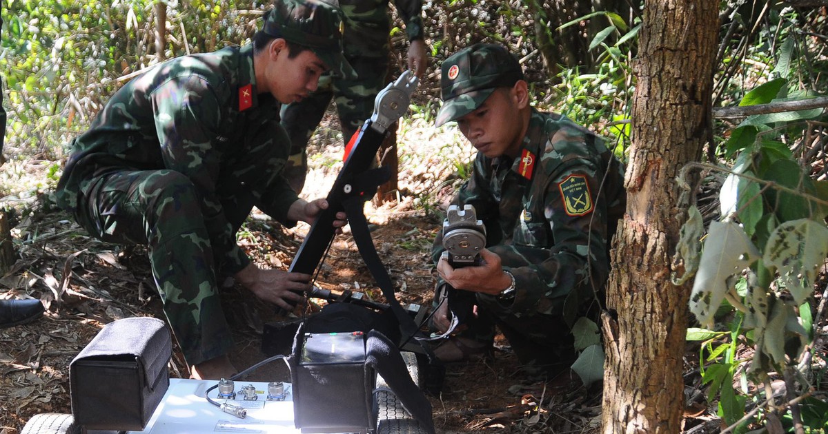 Vụ người dân Phú Thọ báo tin 200 hài cốt trong rừng keo: Dù thông tin muộn nhưng 'quý hơn vàng'