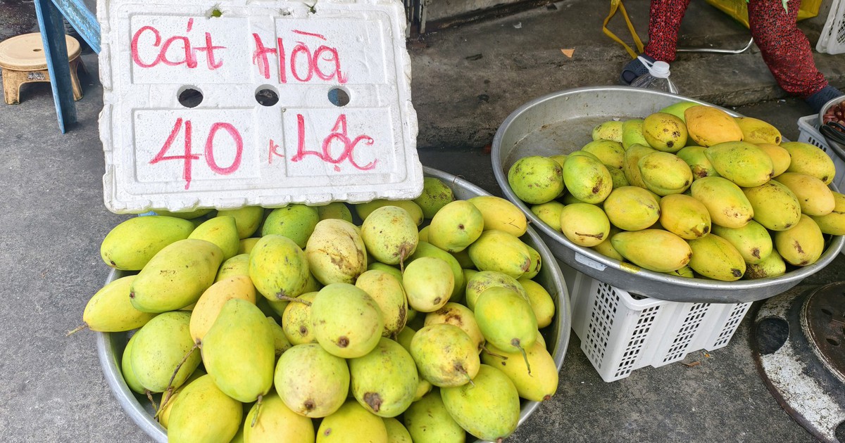 Giá cả đầu ngày: Xoài cát Hòa Lộc giá "dễ thở", còn 40.000 đồng/kg, cam xoàn đắt gấp 3 lần cam sành