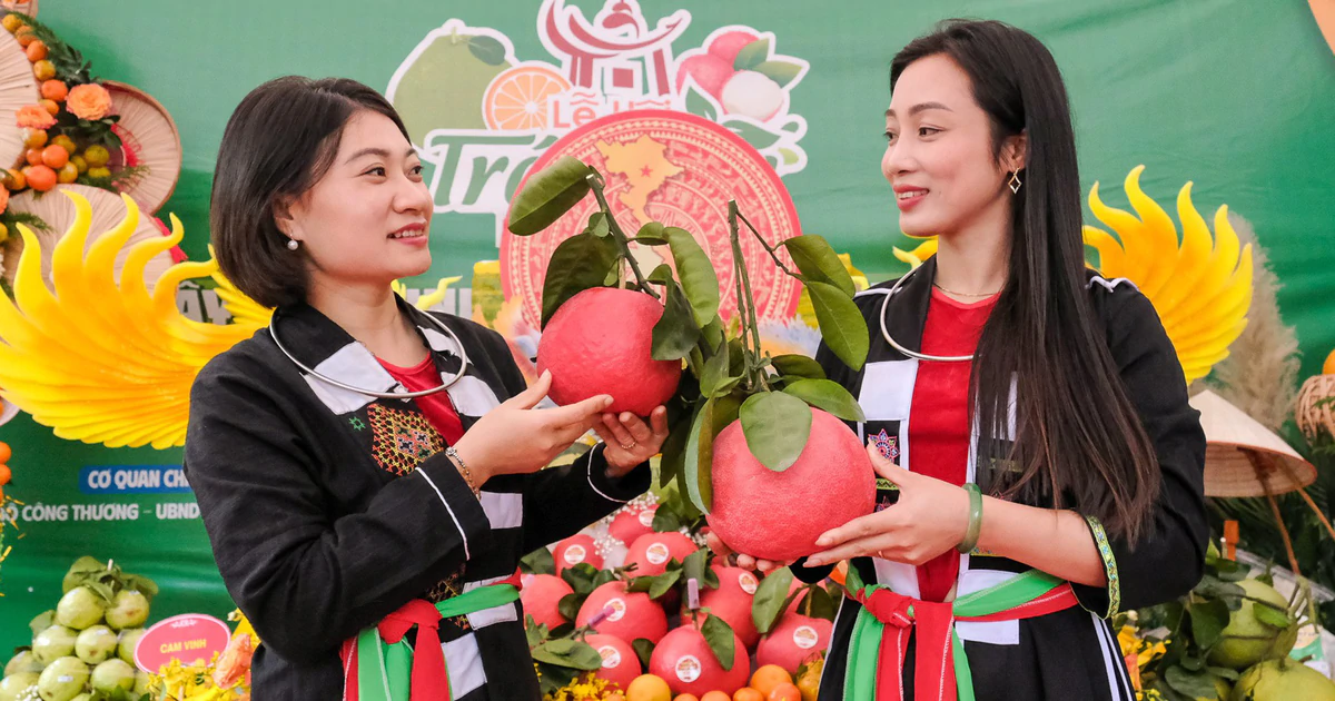 Bưởi Bắc Ninh xuất khẩu sang Nga, ổi sang Anh, trái cây còn dư địa nào?