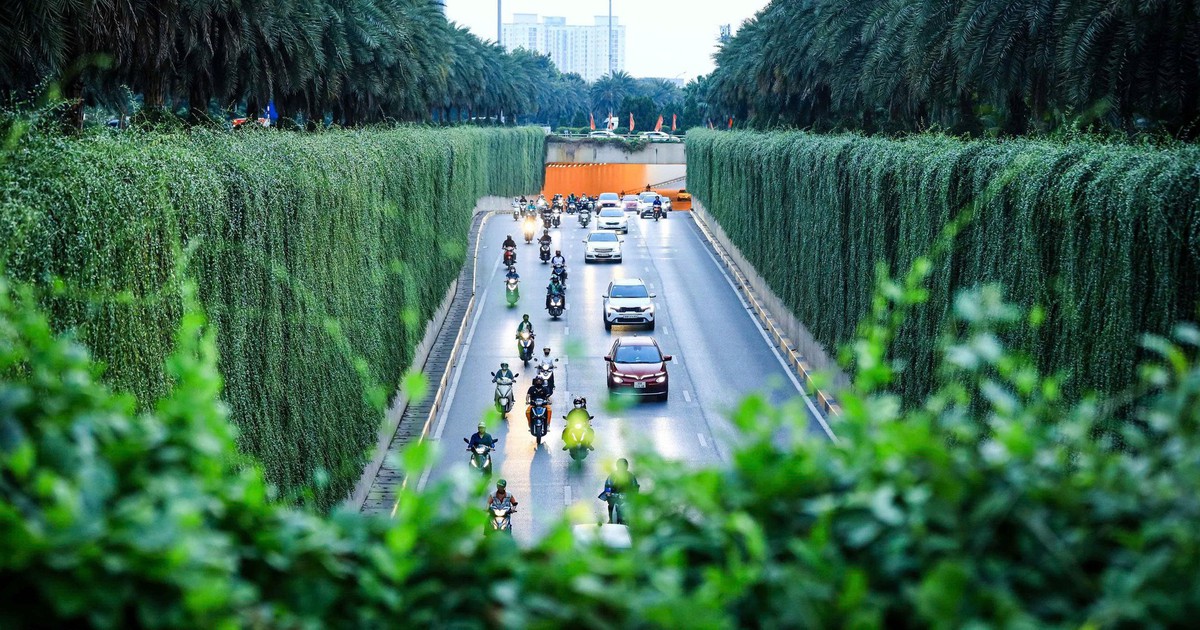 Hình ảnh trụ đường sắt đô thị, hầm chui ở Hà Nội được phủ cây xanh, thêm mảng xanh cho thành phố
