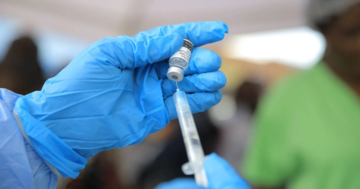Pháp lần đầu phát hiện virus Shamonda ở người, bệnh nhân đã tử vong