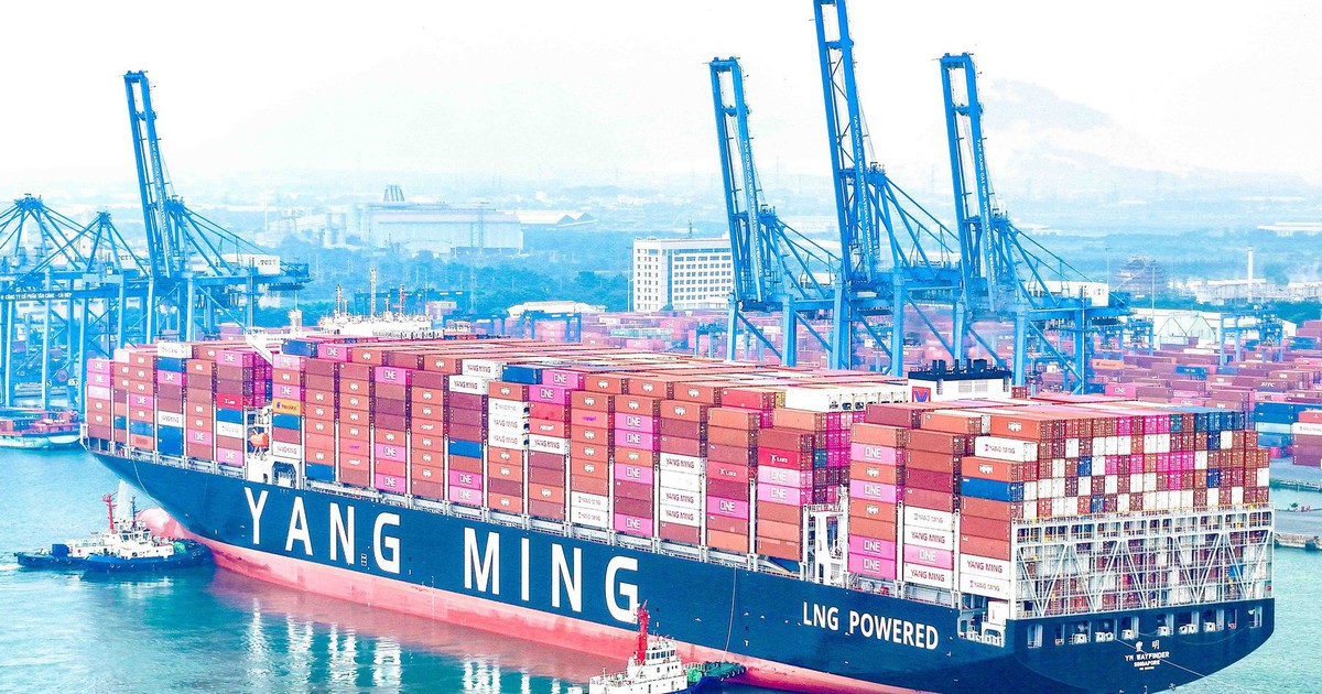 Cái Mép hút tàu container thế hệ mới, sức chở 15.500 TEU