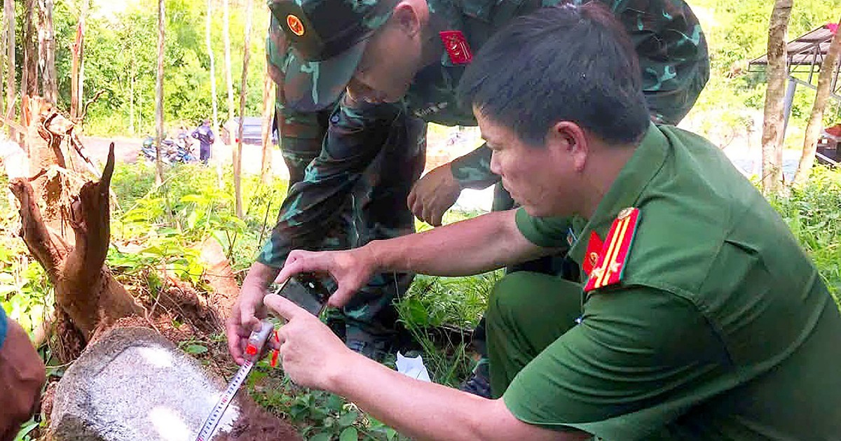 Mẹ làm tấm bia đánh dấu vị trí, con báo tin giúp quy tập hài cốt liệt sĩ