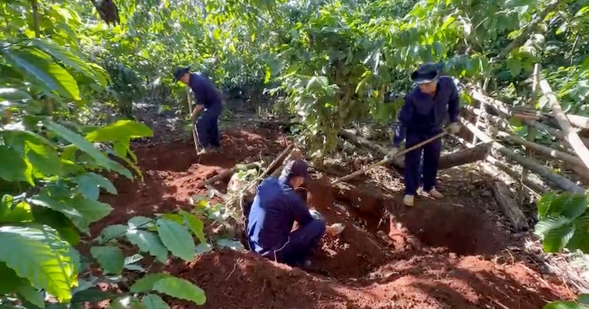 Nhớ lời cha kể, người dân Lào giúp tìm thấy 1 hài cốt liệt sĩ