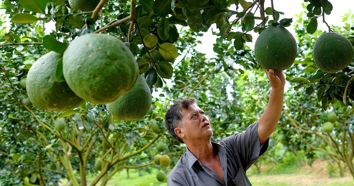 5 xã Lâm Đồng ra sao khi một phần đất phía nam thuộc về Đồng Nai?