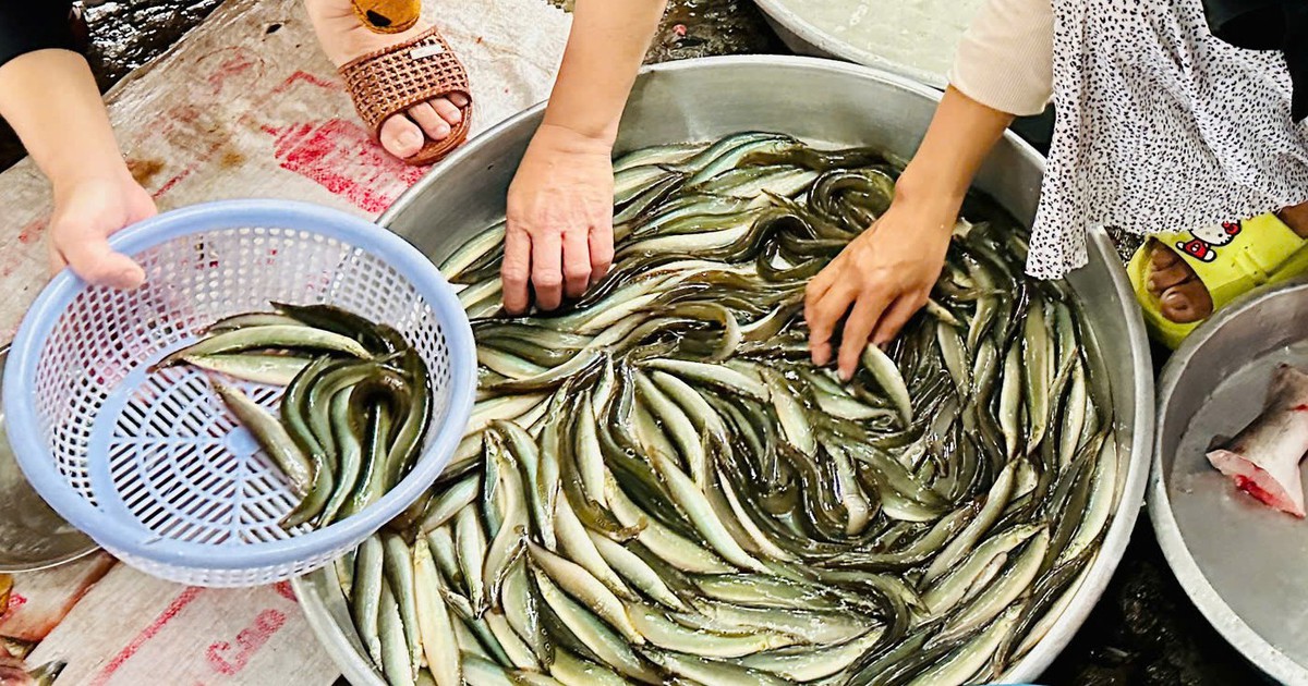 Giá cả đầu ngày: Cá linh giảm sâu, cá chạch 200.000 đồng/kg, rau củ vẫn neo cao