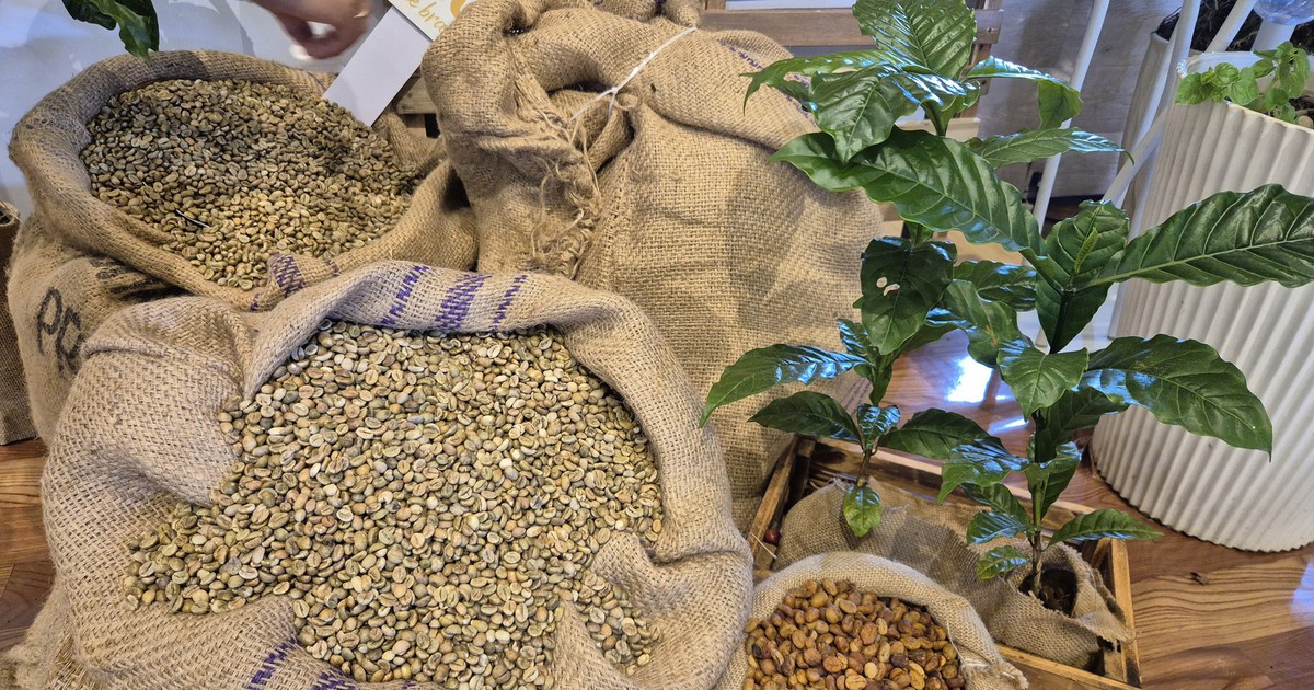 Nâng tầm Robusta Việt: Gu ngon đúng vị làm người ta mua