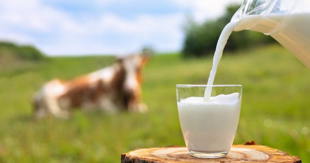 Sữa tươi mở nắp để được bao lâu?