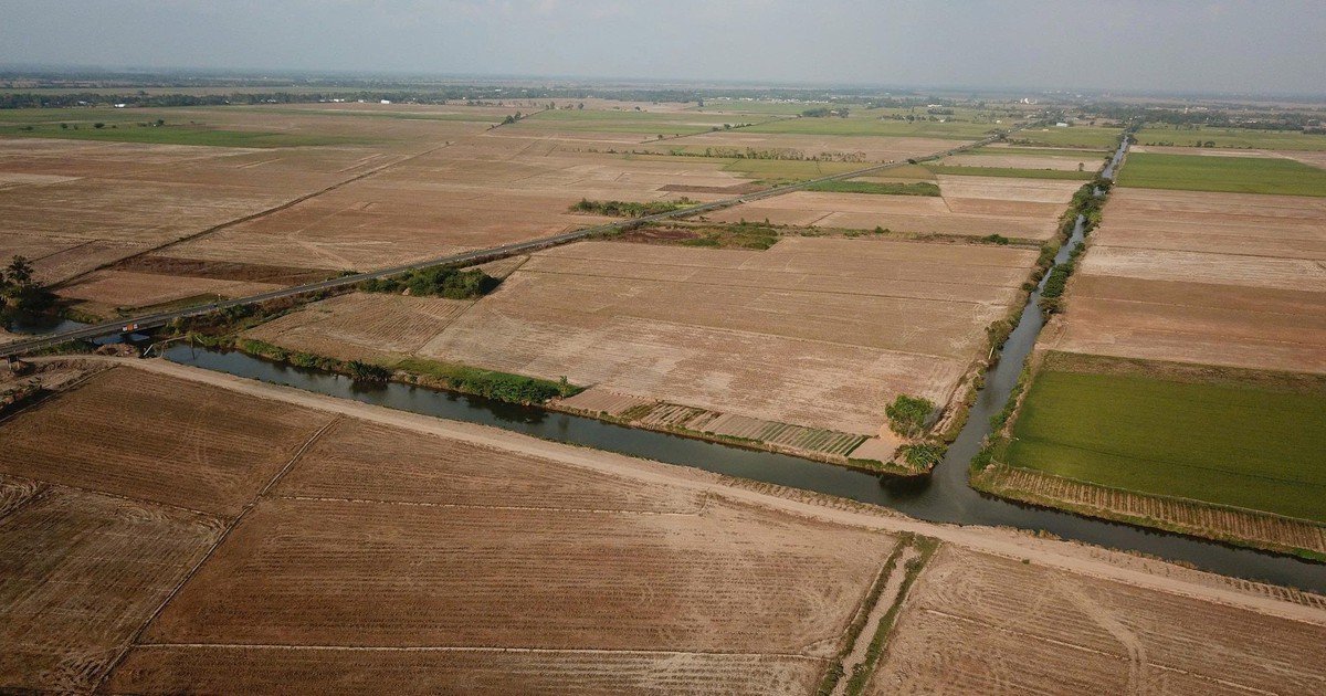 Xâm nhập mặn đến sớm, vào sâu 70-130km, làm gì để bảo vệ lúa và cây ăn trái ở miền Tây?