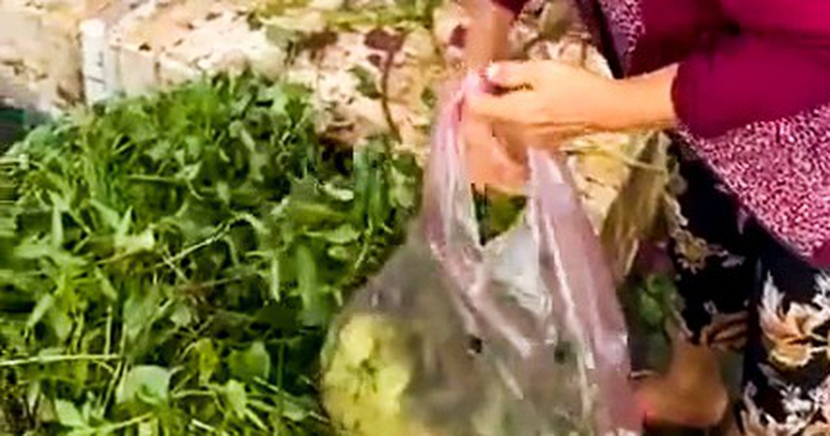 Hai người ở Cà Mau trúng 165 tờ vé số gần 50 tỉ đồng trong 2 ngày liên tiếp
