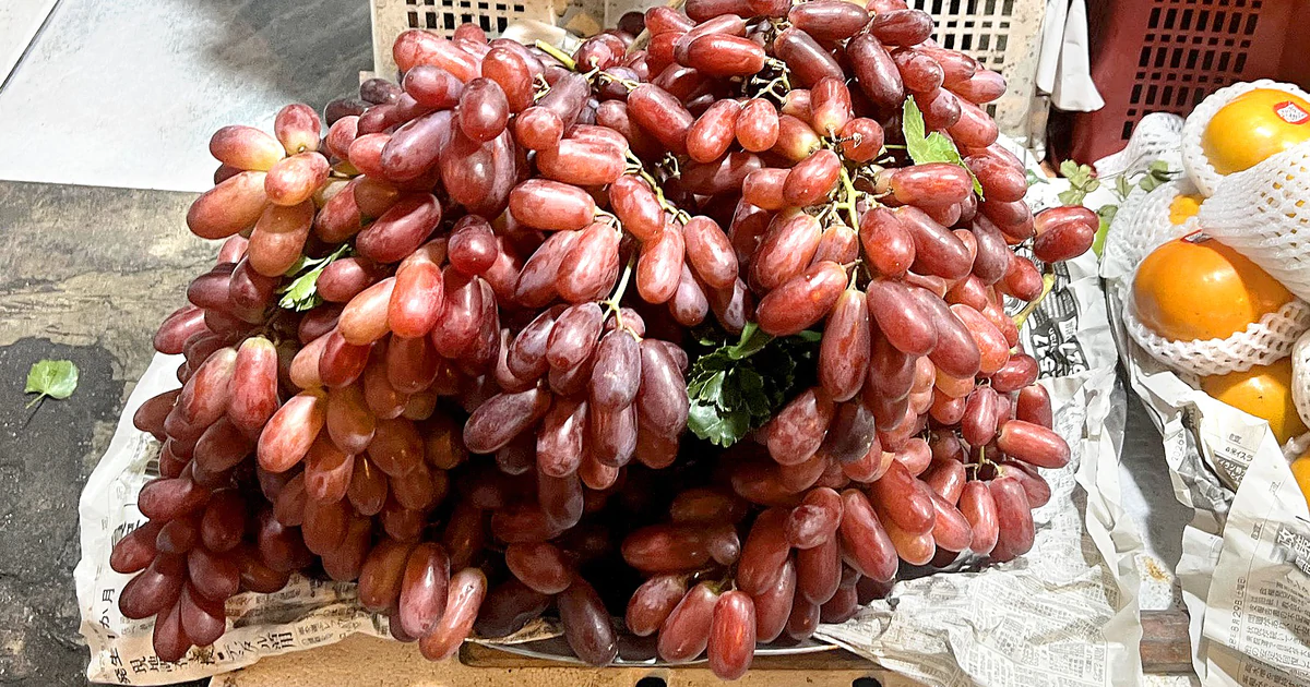 Giá cả đầu ngày: Tiểu thương chỉ cách phân biệt nho Ninh Thuận và nho Trung Quốc, giá cá tra nhích lên