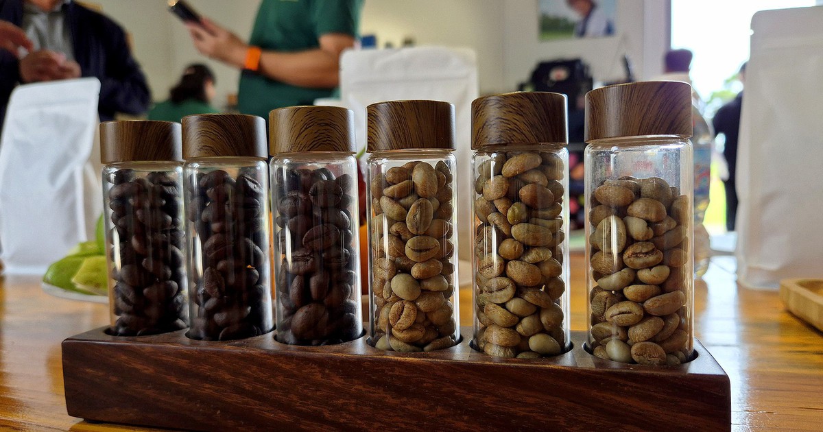 Robusta trong tuần: Giá nội địa mất mốc 90.000 đồng/kg, nông dân ít bán sớm