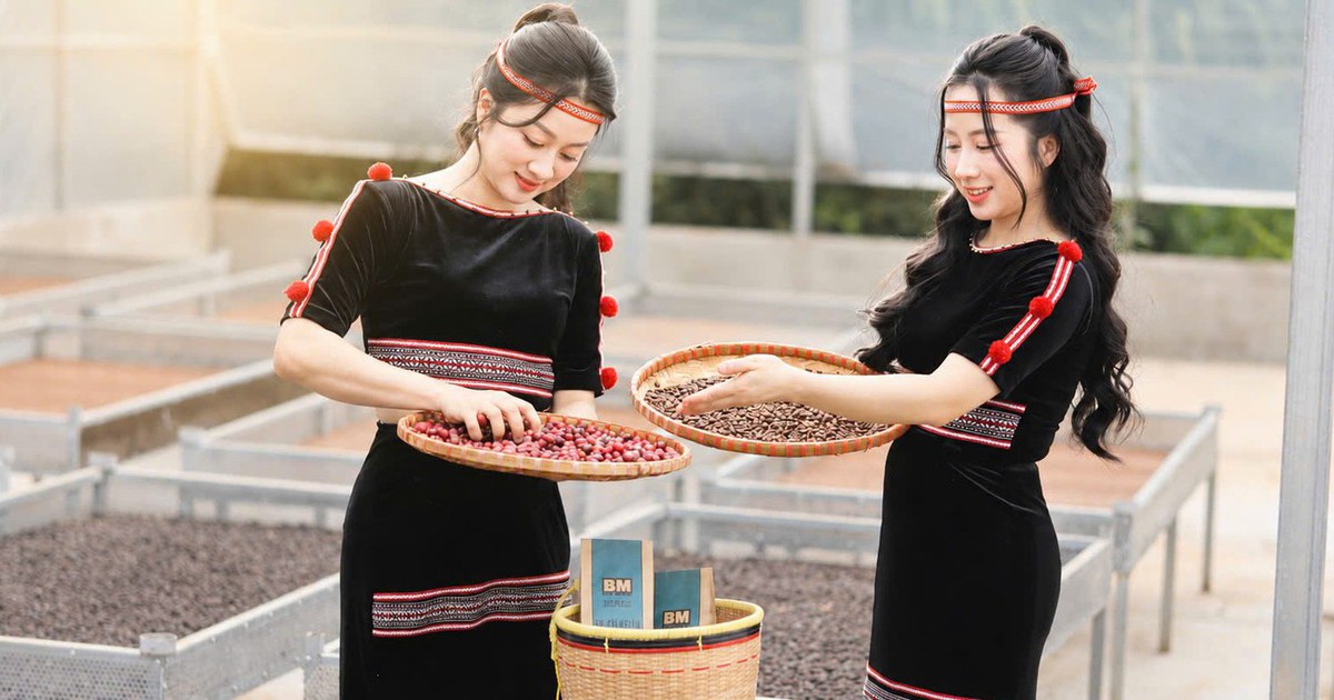 Workshop cùng nông dân xây 'hệ miễn dịch' cho cà phê Robusta ngay tại vườn
