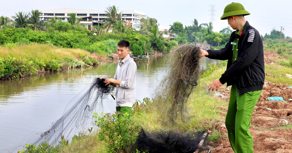 Một tháng tháo gỡ hơn 4.500m lưới bẫy chim, giải cứu 57 chim hoang dã
