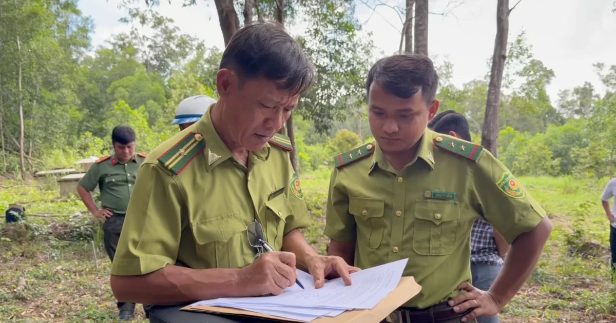 Sau chỉ đạo của ông Đinh Văn Nơi, nhiều trường hợp vi phạm đất rừng ở Phú Quốc đã bị xử lý