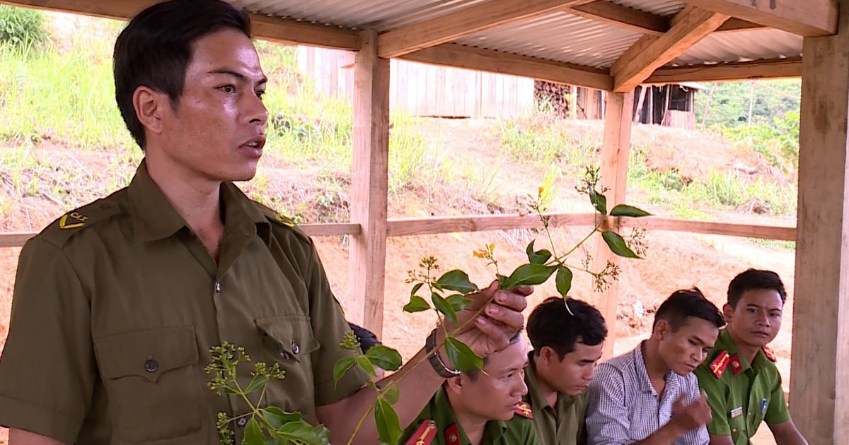 Làm cách nào để học sinh, trẻ em tránh ăn nhầm lá ngón dẫn đến tử vong?