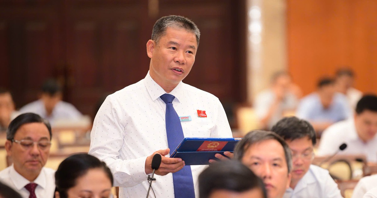 Chung cư Roxana Plaza "đắp chiếu" rồi đòi tăng giá, đại biểu TP.HCM đề nghị giải quyết dứt điểm
