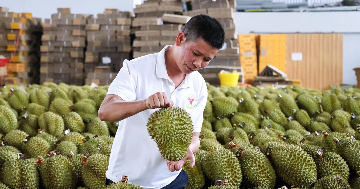 Phó thủ tướng yêu cầu nghiên cứu lập sàn giao dịch nông, thủy sản