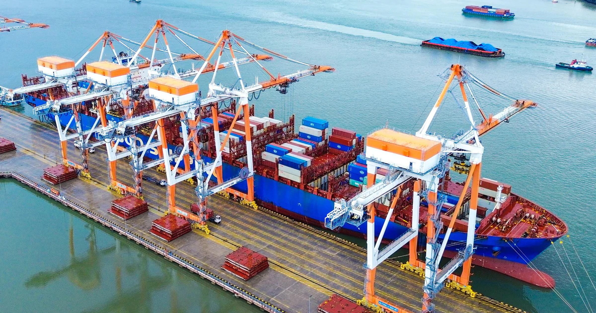 Cảng Tân Cảng - Cái Mép Thị Vải liên tiếp vượt mốc một triệu TEU hàng hóa