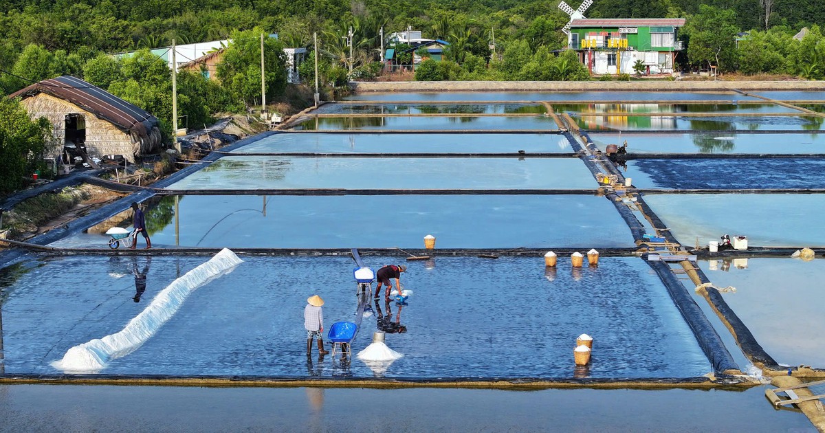 Sản xuất muối Thiềng Liềng tại TP.HCM được công nhận nghề truyền thống