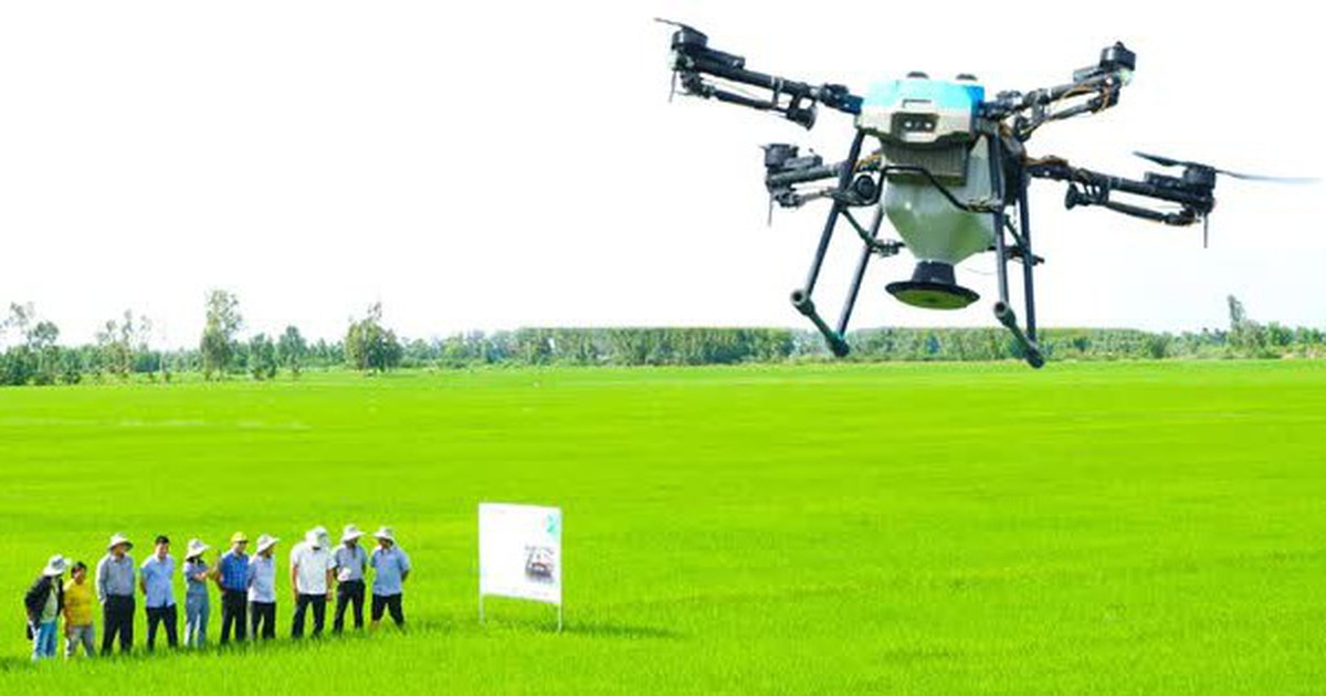 6.000 drone đang làm việc trên đồng ruộng Đồng bằng sông Cửu Long