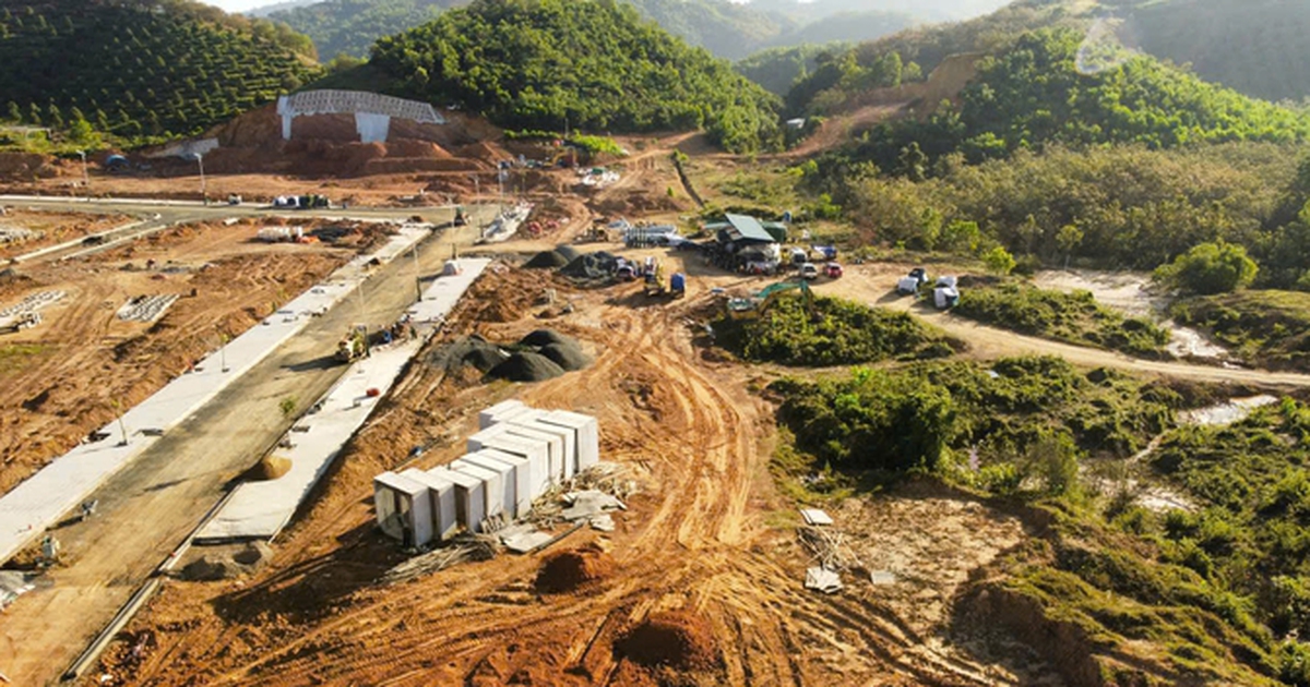 tuoitre.vn