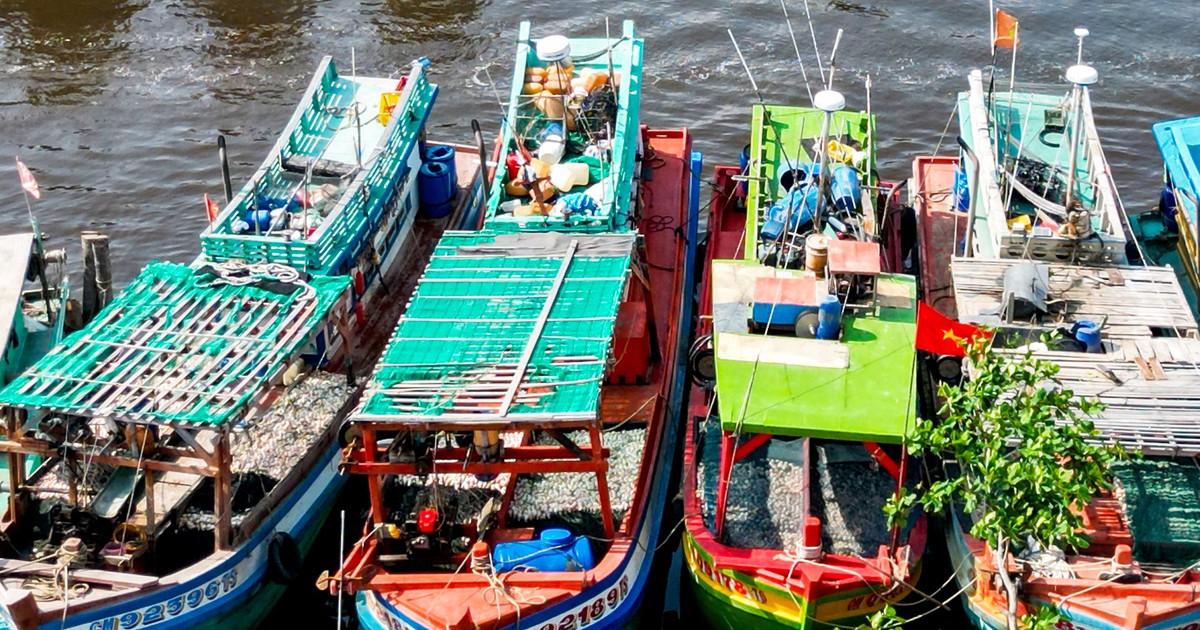tuoitre.vn