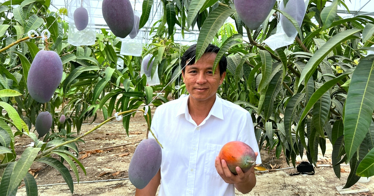 tuoitre.vn