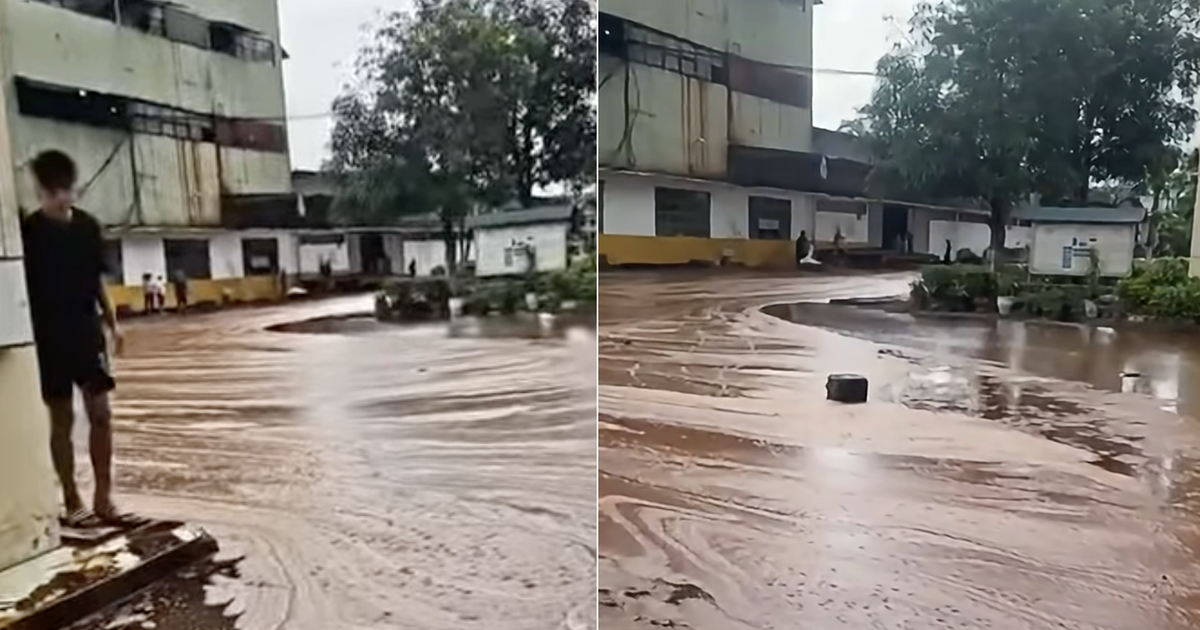 tuoitre.vn