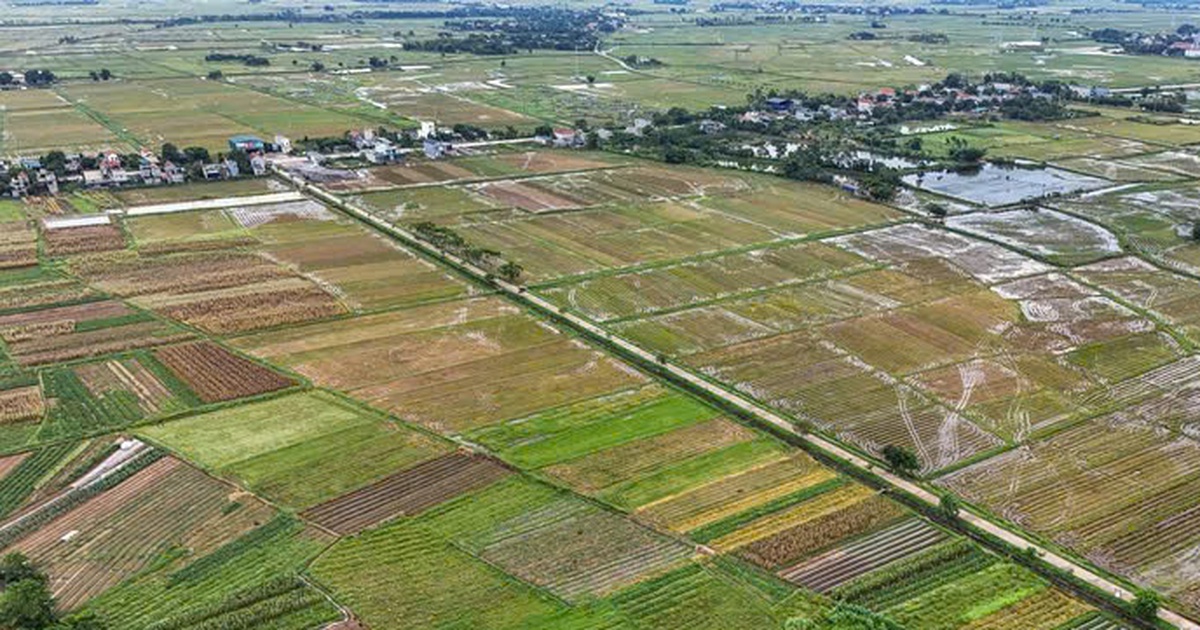 Đất nông nghiệp trong khu dân cư chuyển sang đất ở có được giảm tiền sử dụng đất?