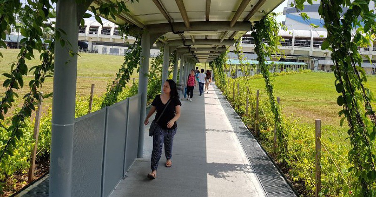 Làm mái che cho người đi bộ đến trạm xe buýt, metro