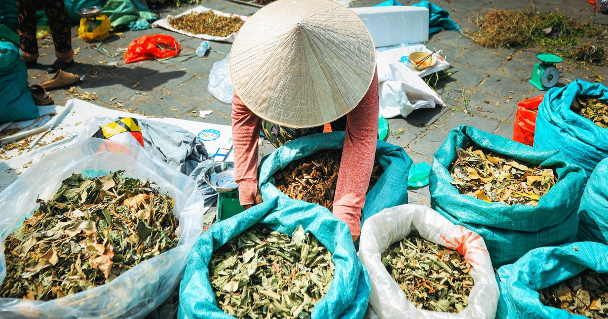 Người Hội An chi tiền triệu mua 'thần dược' dịp Tết Đoan Ngọ