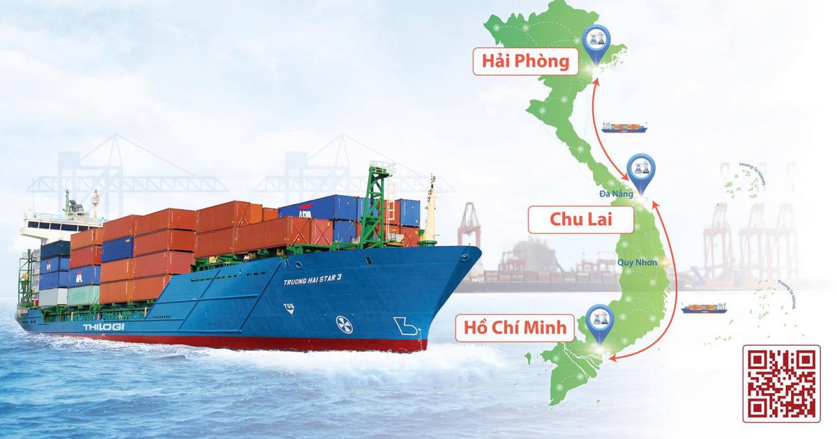 THILOGI tăng tần suất vận tải biển nội địa