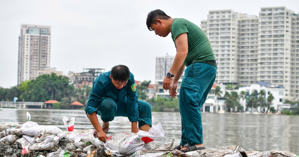 TP.HCM dự kiến vận hành phần mềm giám sát thiên tai trong tháng 9-2026