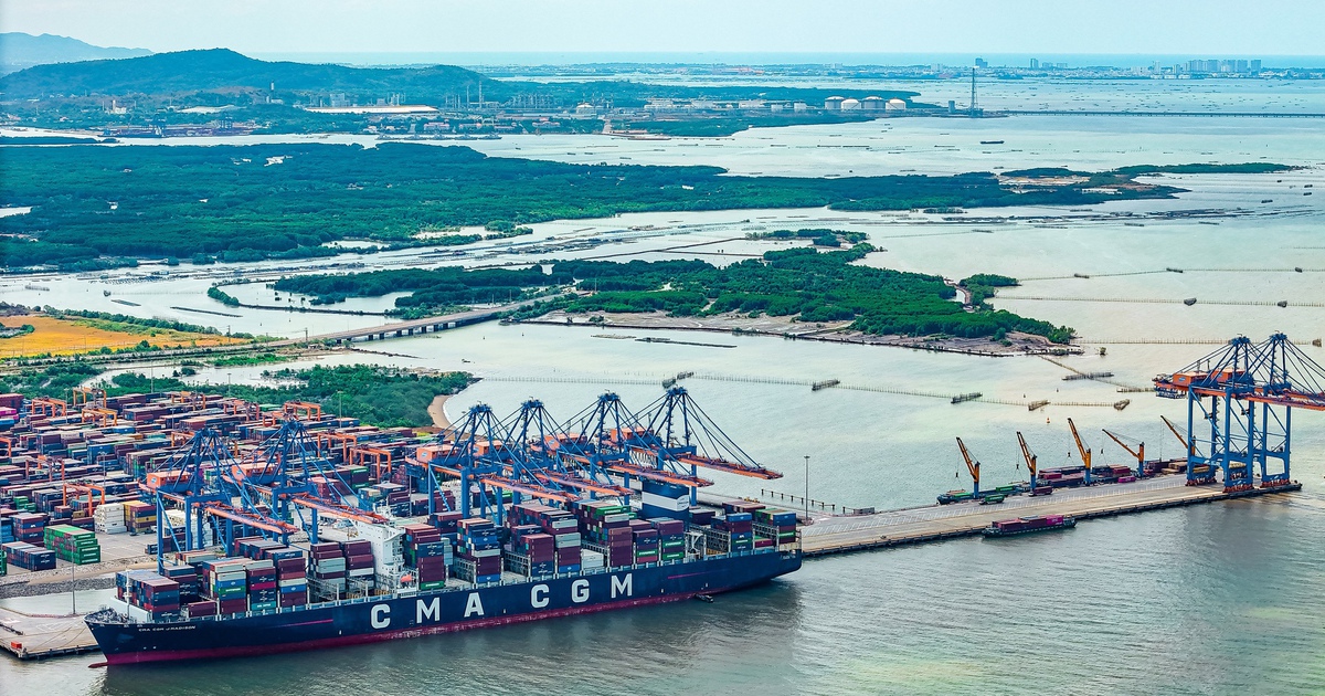 TP.HCM miễn 7.170 tỉ đồng phí hạ tầng cảng biển cho doanh nghiệp trong 3 năm