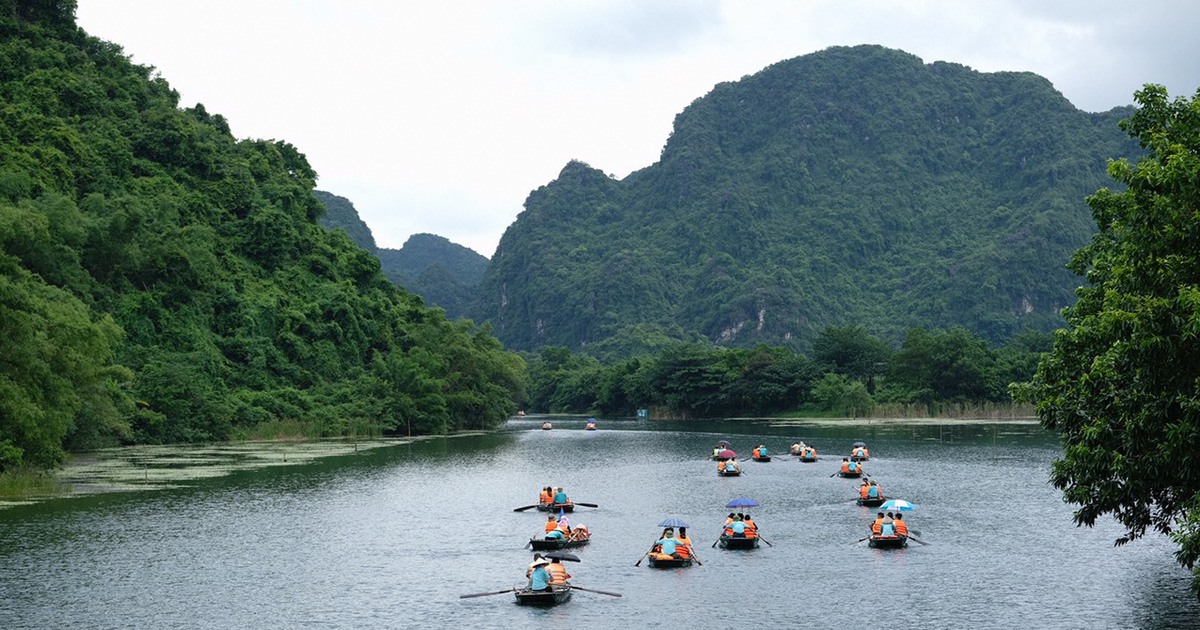 tuoitre.vn