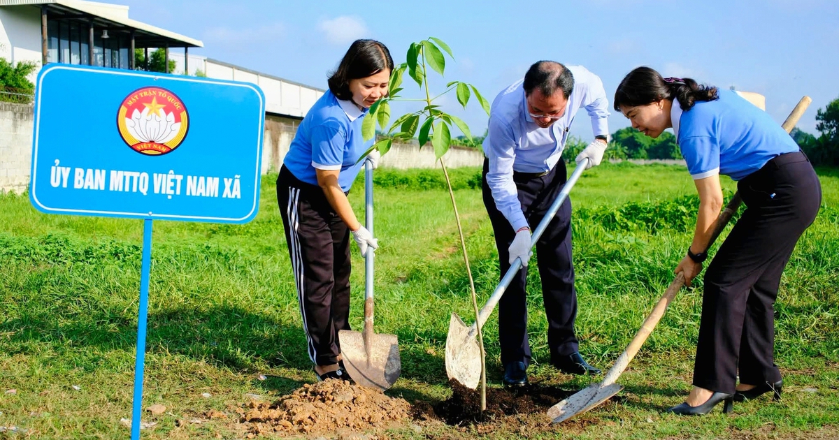 Củ Chi ra quân trồng 400 cây xanh, hưởng ứng phong trào 'Thành phố muôn sắc hoa'