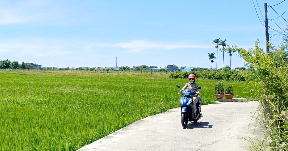 Thanh tra kiến nghị Đà Nẵng làm gì với dự án khu đô thị Phong Nam - Hòa Châu?
