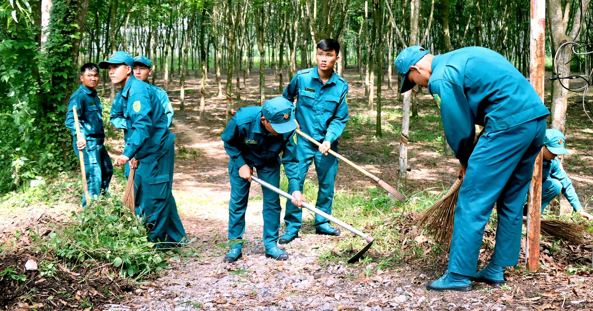 Dấu ấn đẹp 20 mùa Hành quân xanh