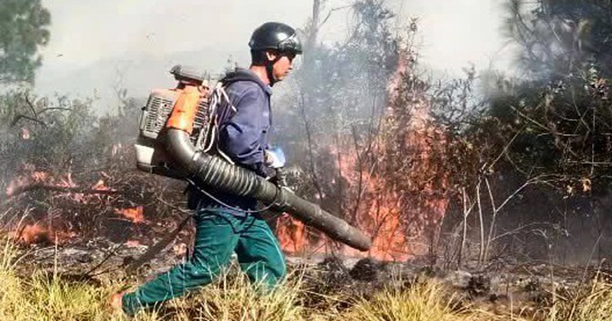 40 giờ quân dân cùng ngăn 'giặc lửa' giữ rừng