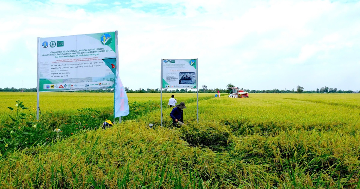 Hộ kinh doanh sắp được hỗ trợ lãi suất 2% khi đầu tư dự án xanh